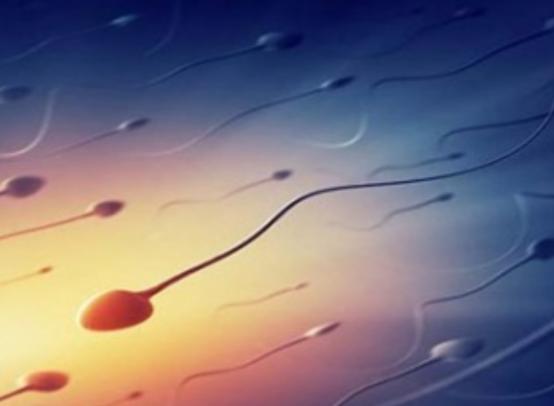 一位单身女青年的疑问：同房时，男人射精和尿尿会同时发生吗？