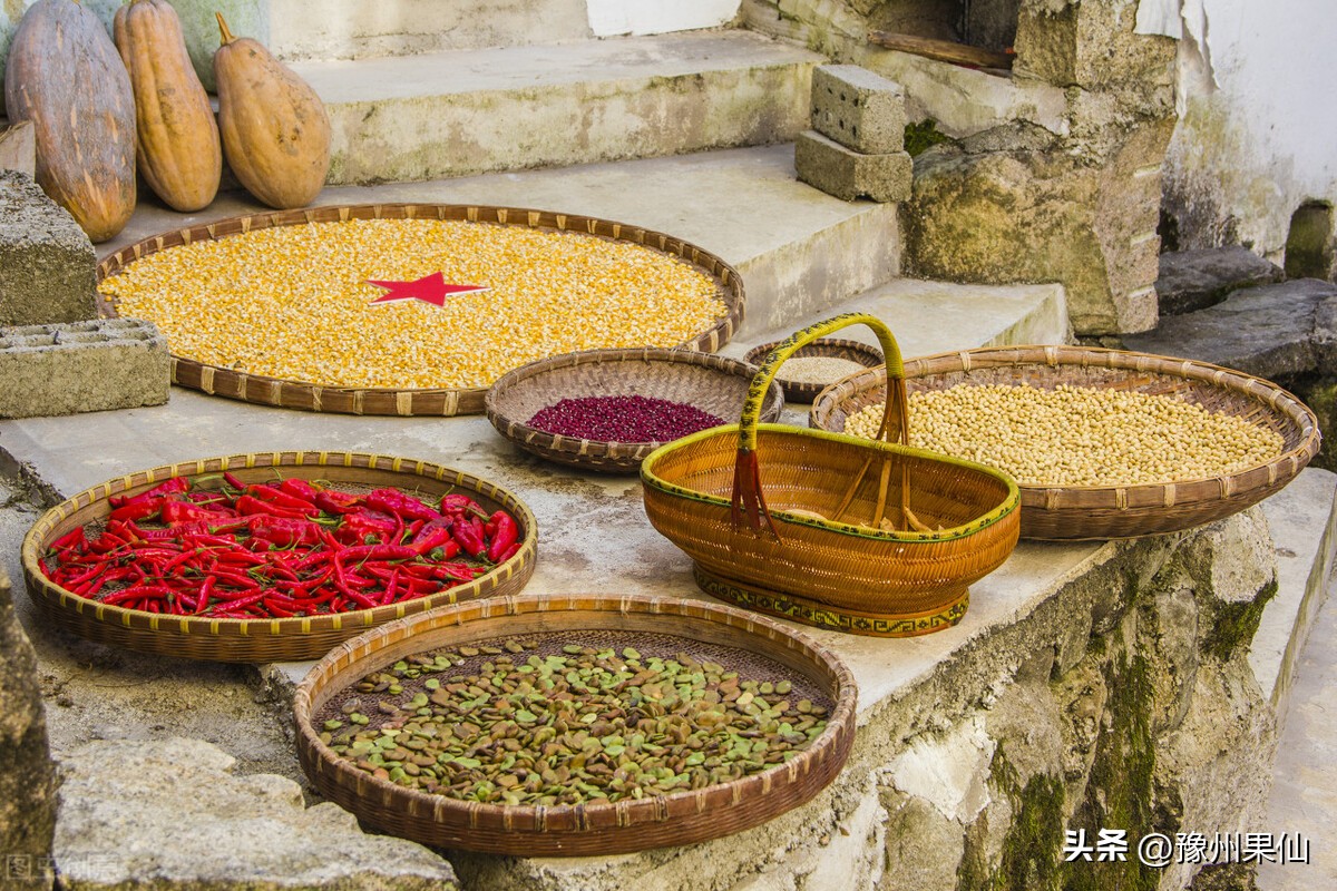 农业企业如何运营和管理,农业项目如何实现共赢