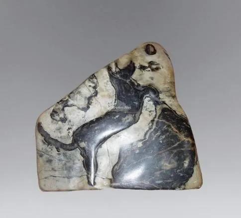 18块最贵奇石欣赏,世界上最贵的六大奇石