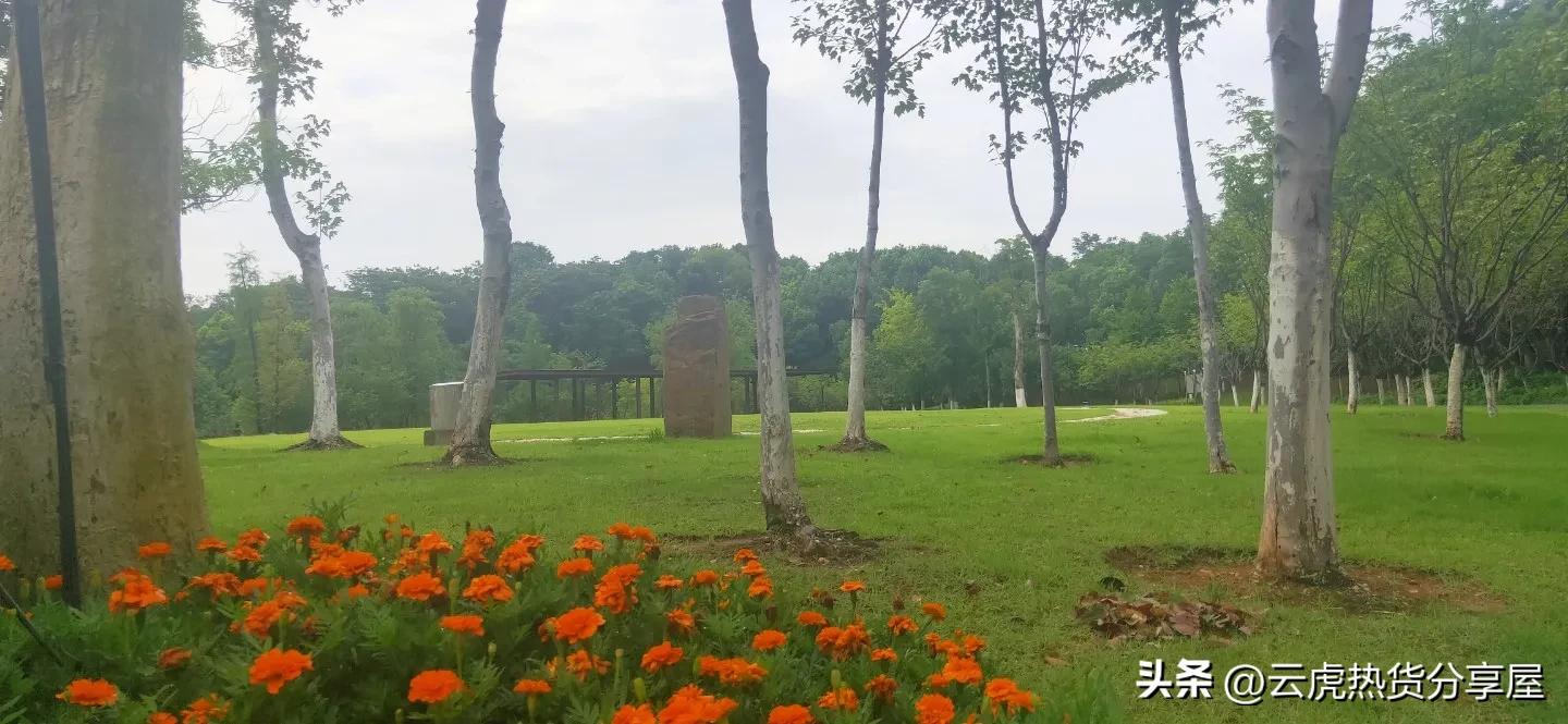 家门口避暑胜地,杭州人家门口的避暑胜地