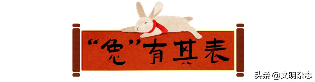 兔子来阳台,兔子来到新家