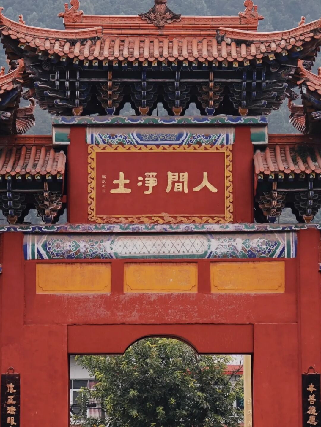 金鸡菊花海旅游攻略,金鸡菊花海美景