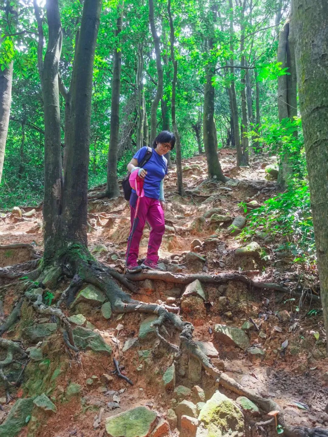 徒步登山我健康我快乐,广州火炉山爬山最佳地点