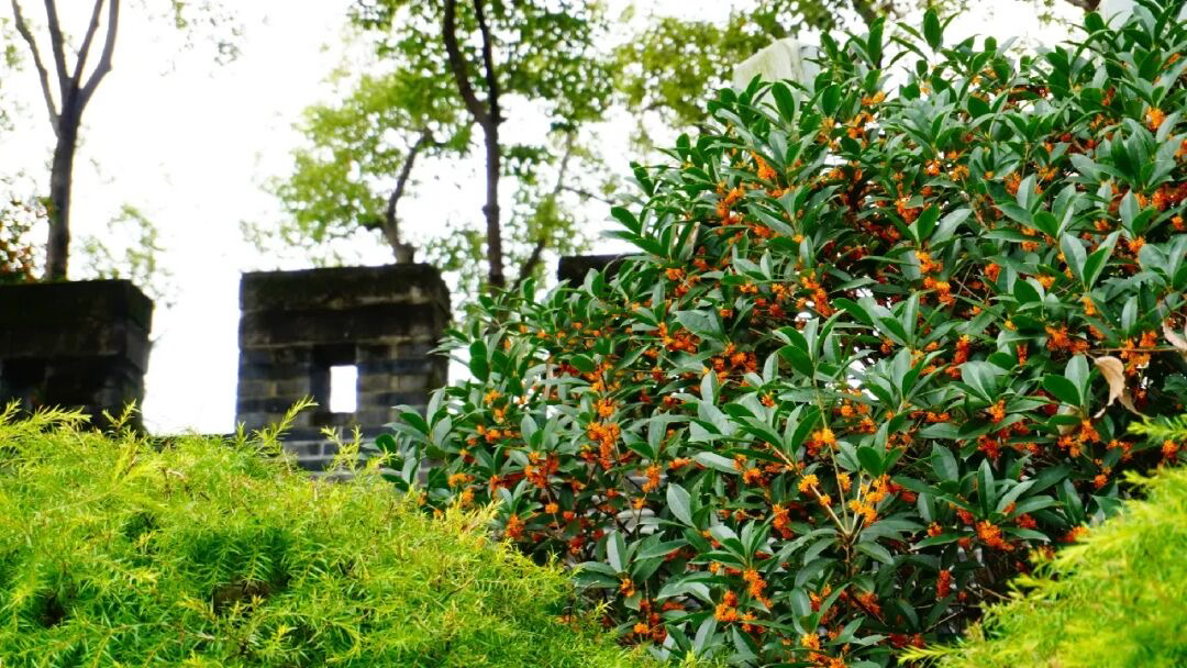 放假去哪里玩又便宜又好玩成都,假期去哪玩便宜又好玩儿成都