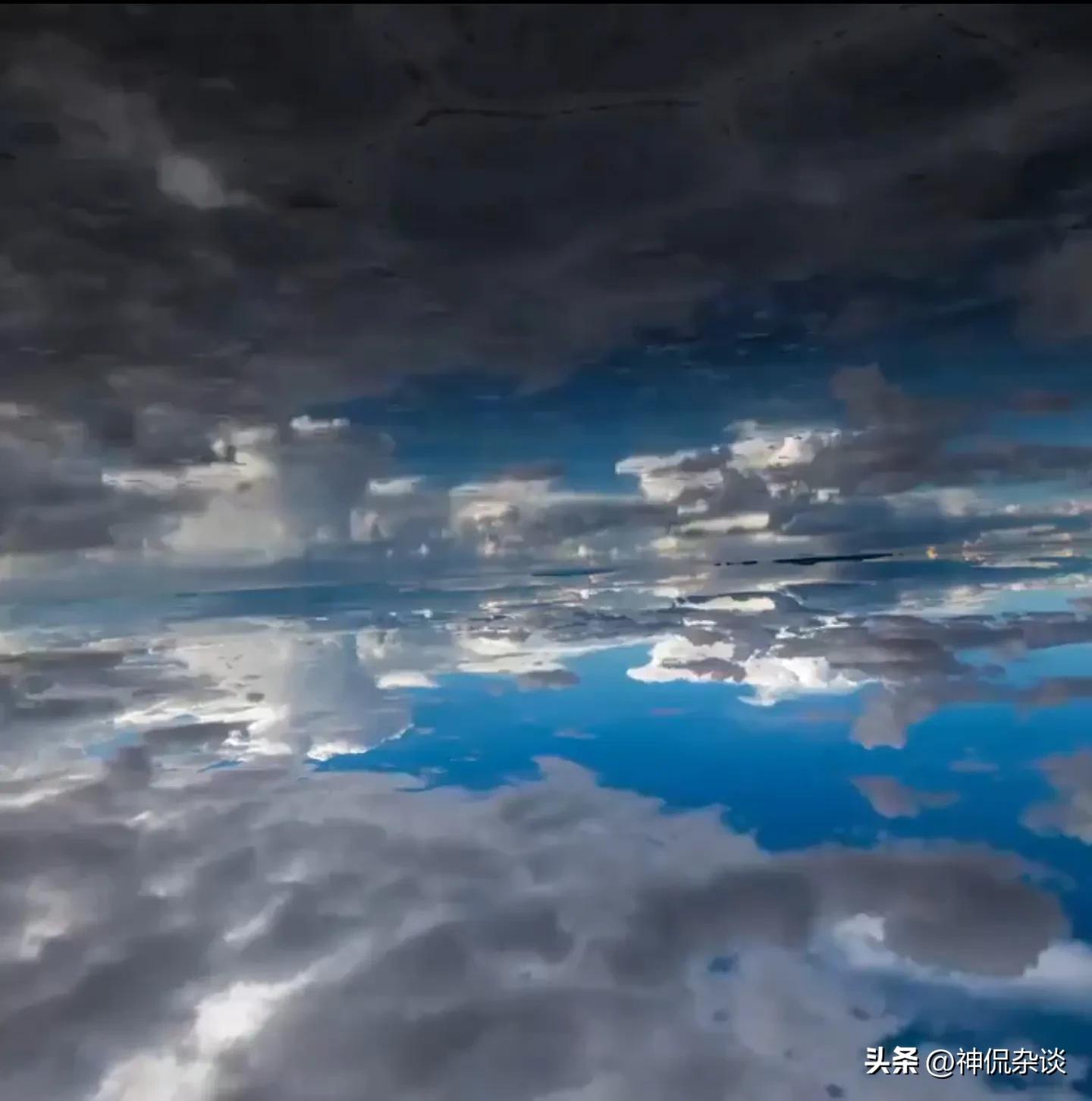 世界上鼻子最长的是什么动物,世界鼻子最长的人