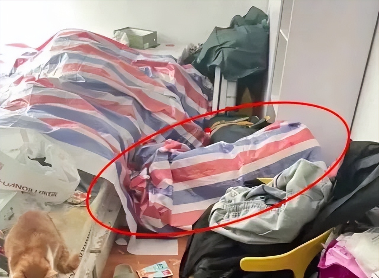 女生兼职喂猫遇骚扰,女生兼职喂猫疑遇骚扰