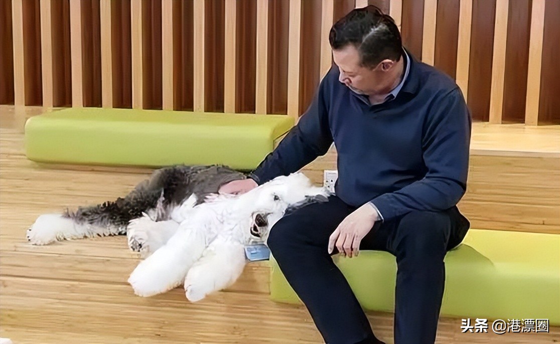 香港中文大学求学的真实感受,在香港大学读书是一种怎样的体验