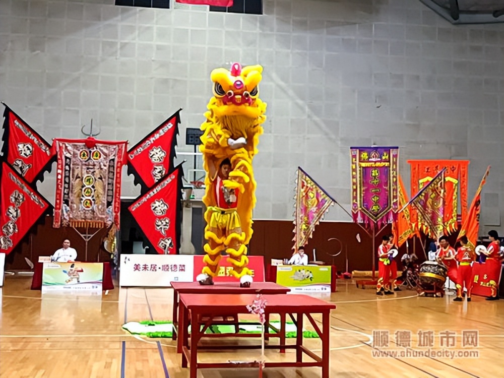 活力顺德精彩绽放！多项大型体育活动同步打响