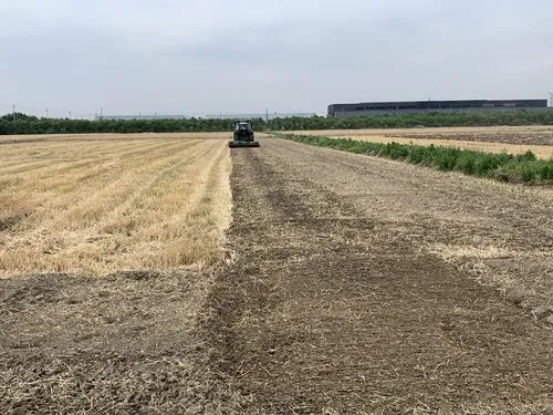 秸秆不让焚烧也不给解决方法,秸秆如何管理与注意事项