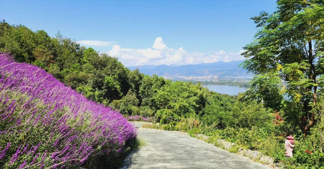 外地朋友来四川吃美食,外地朋友来四川吃苍蝇馆子