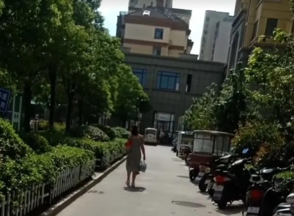 你的未来我的责任,你的自由我的责任