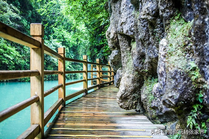 张家界5天4晚旅游攻略和费用明细,张家界旅游攻略和费用五天四晚