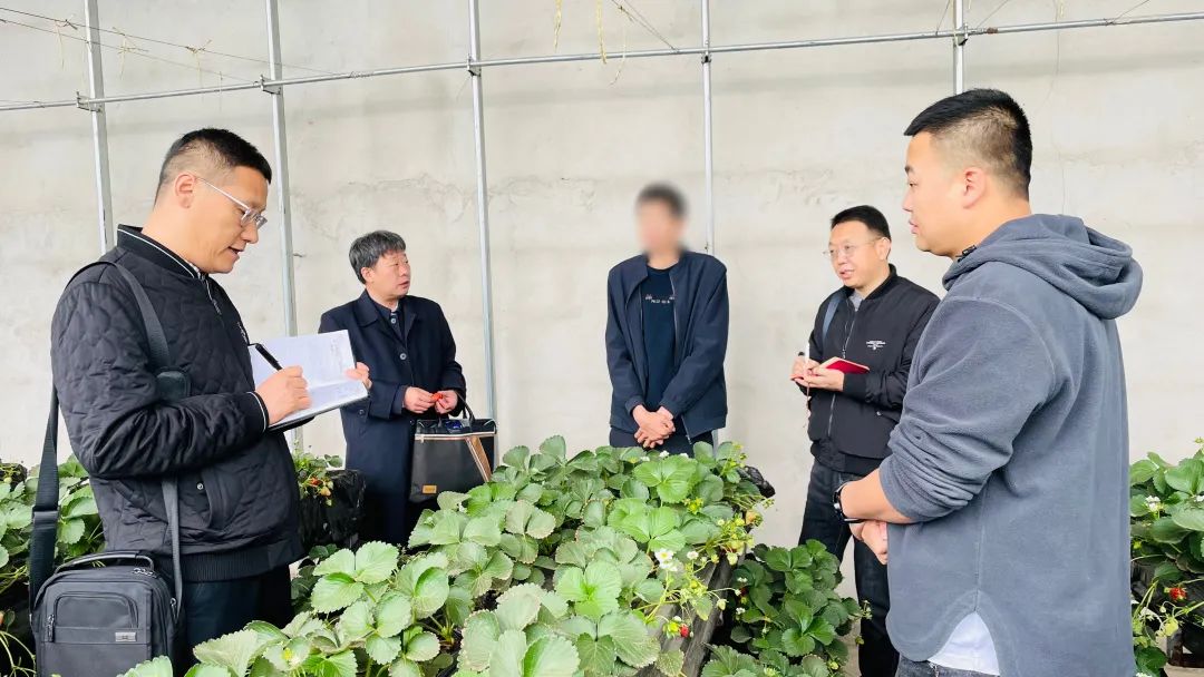 瀹佸崰蹇犳氮瀛愬洖澶翠粖鎴愯嚧瀵屽甫澶翠汉,鏋椾害鍕ゆ氮瀛愬洖澶村涓婅劚璐嚧瀵岃矾