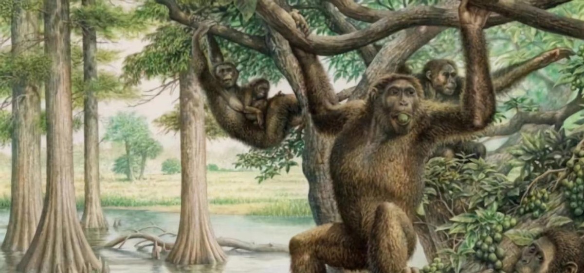 人类为什么会退去体毛？却留下来腋毛、阴毛等一小部分头发？