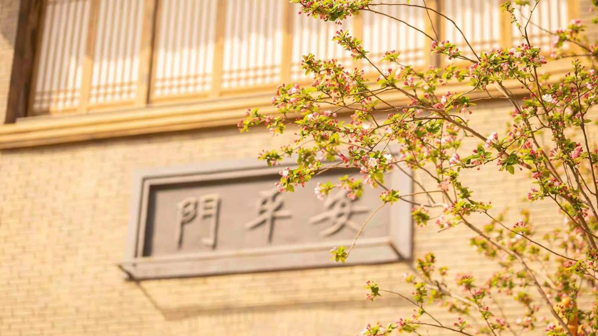 清明假期免费景点郑州周边,清明小长假适合去哪里玩郑州附近