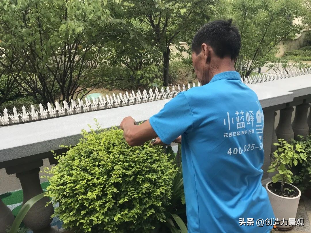 周末回访老客户的文案,回访老客户的主题