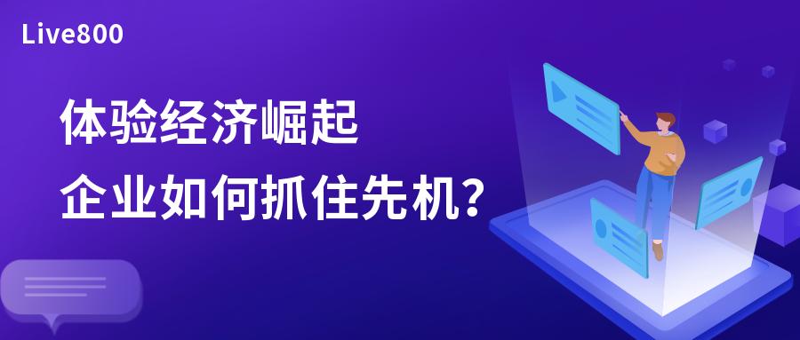 live800在线客服系统的业务范围,live800在线客服系统是什么