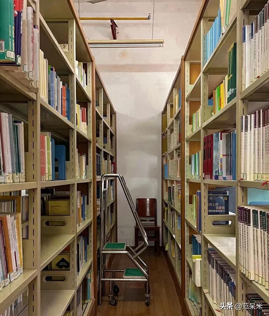 内向的女孩适合做什么工作,内向女孩适合的工作