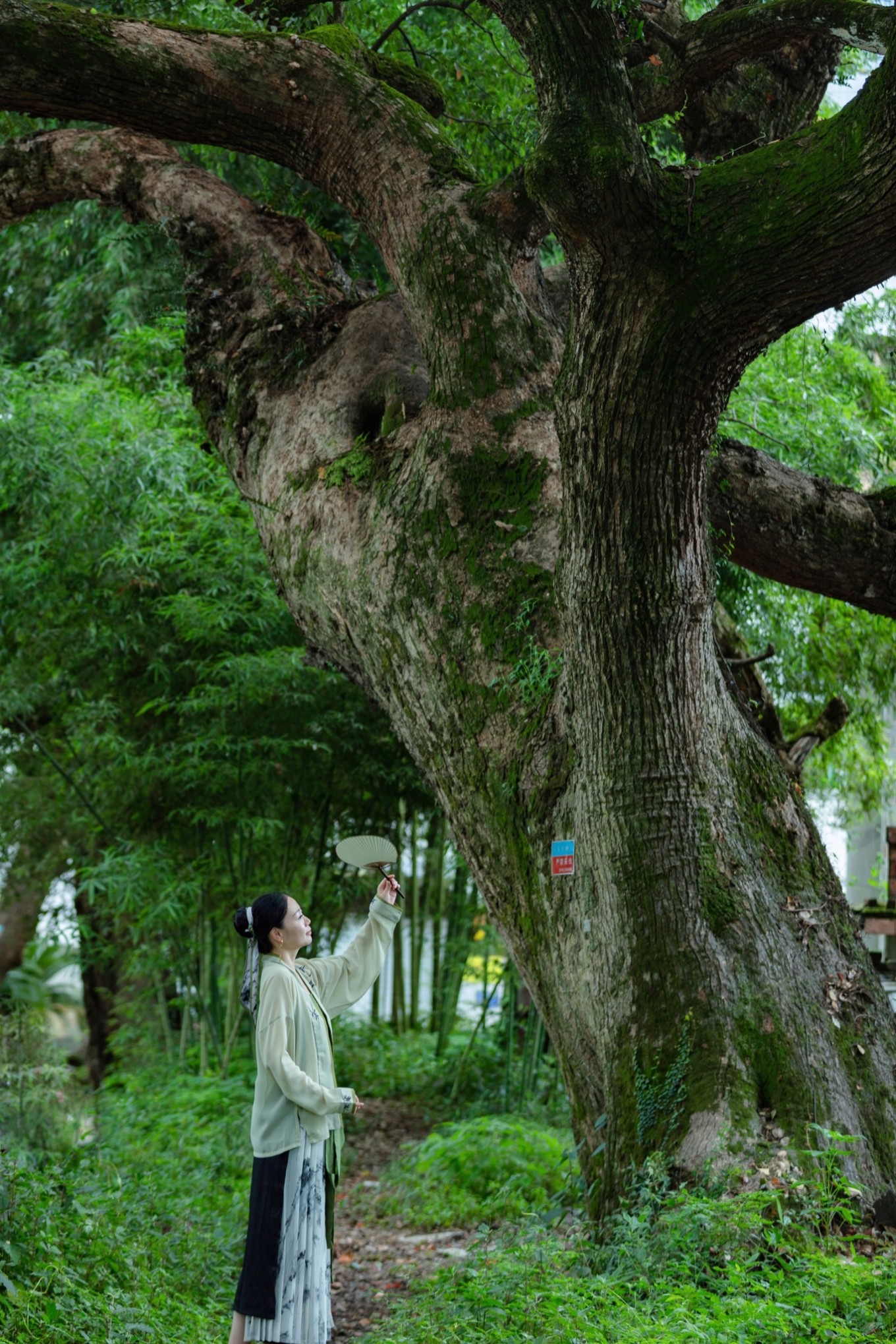 宜春冬天风景,关于江西宜春美景