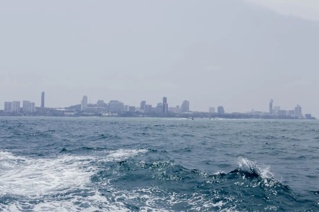 鍘绘嘲鍥芥浖璋峰拰鑺彁闆呯殑鏀荤暐,鍘绘嘲鍥界帺杞浖璋疯姯鎻愰泤