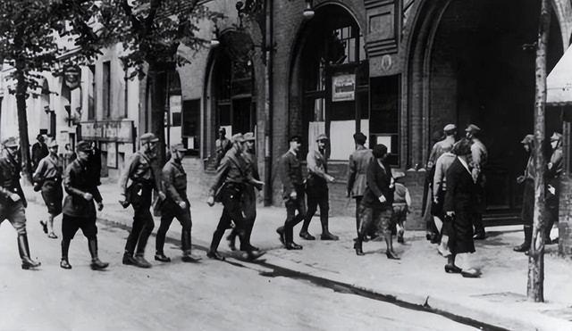 关于德国纳粹历史问题,对纳粹最客观的评价