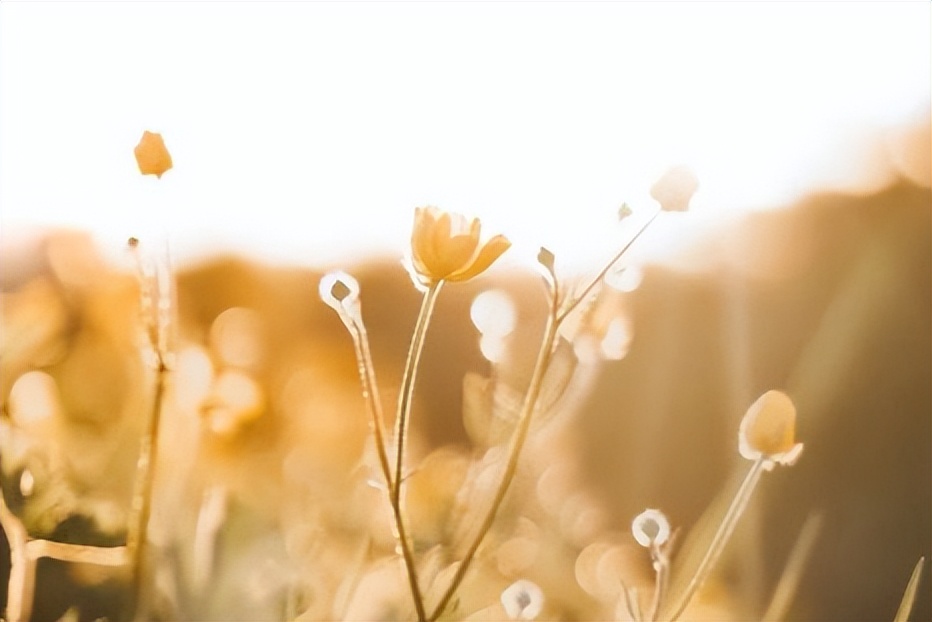 儿媳好不好全村人都知道,儿媳好不好娘家妈很重要