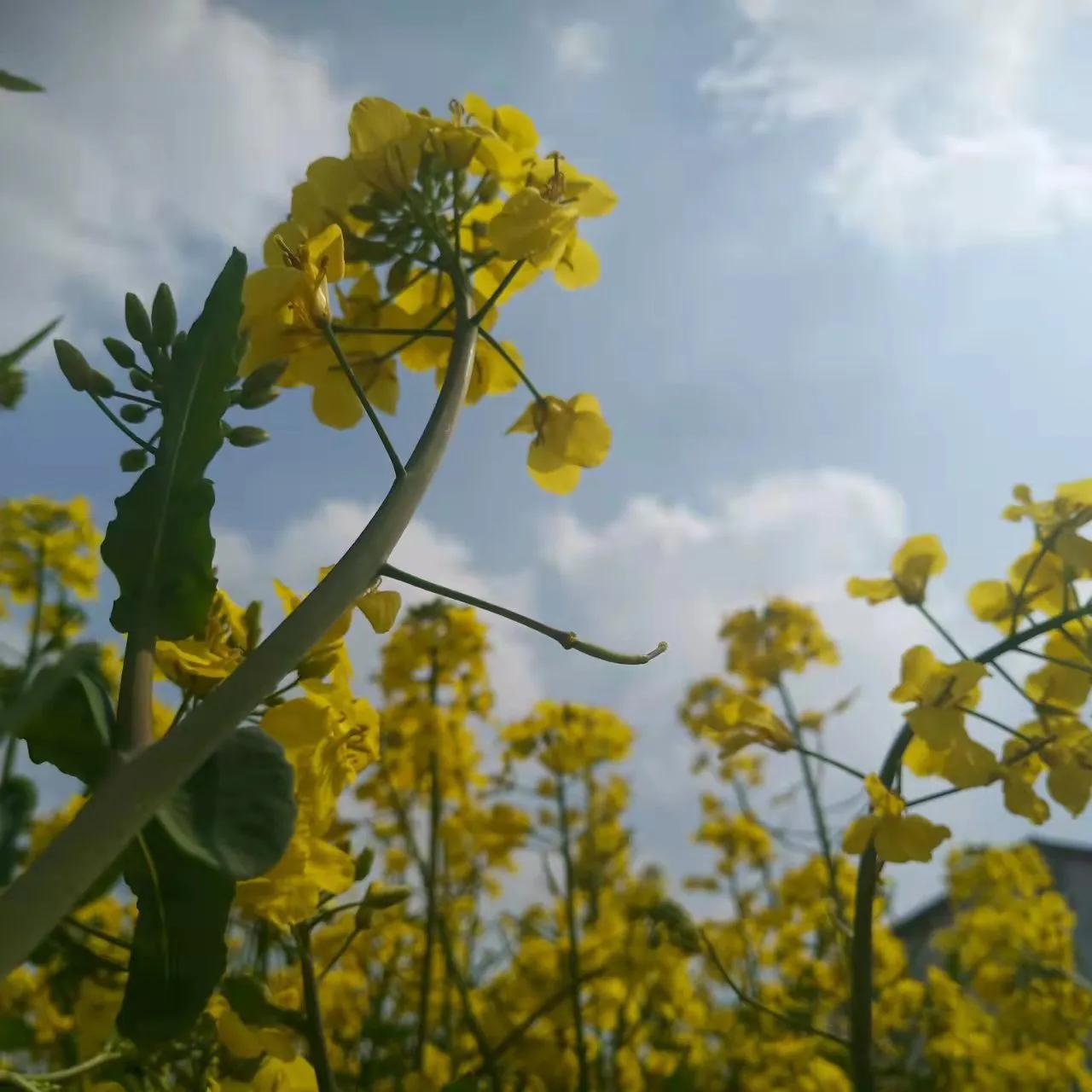 穆里尼奥谈德布劳内萨拉赫,穆里尼奥德布劳内萨拉赫
