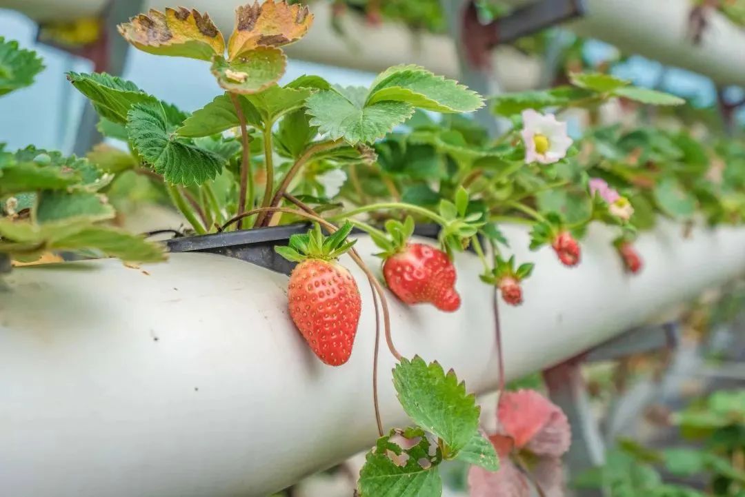 福州琅岐岛风景,福州的美景美食