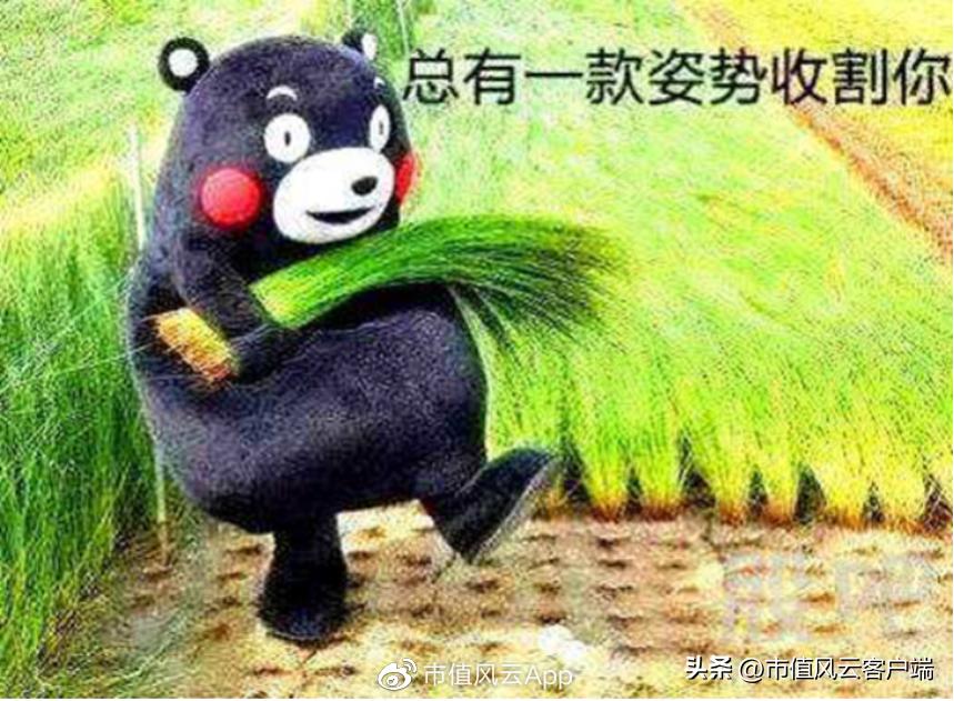 为啥都是批发商,你却成了“互联网”?电子网:那得感谢申万宏源呐