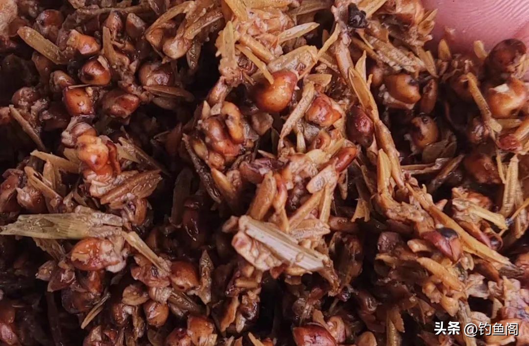 老坛五谷杂粮玉米钓鲤鱼效果如何,冬天用麝香玉米钓鲤鱼效果怎么样