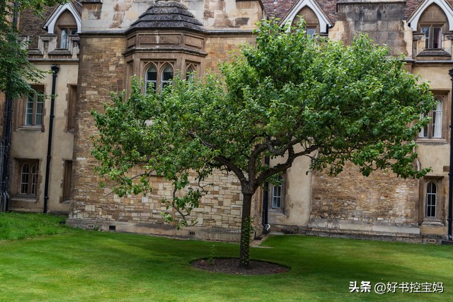 生活有时要自己哄自己,有时生活也得自己给自己找快乐