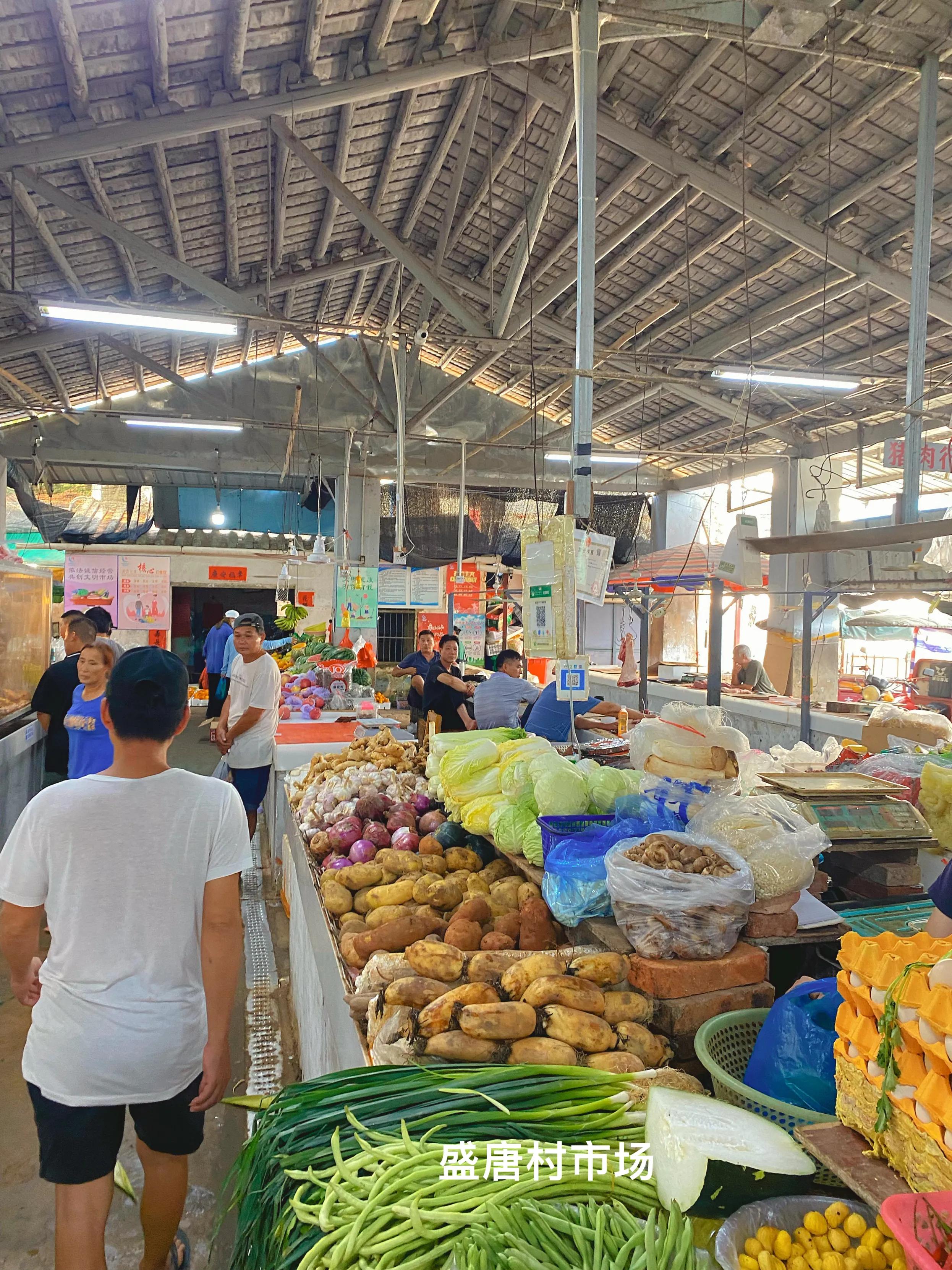 近日涠洲岛海鲜攻略,涠洲岛海鲜怎么吃比较划算