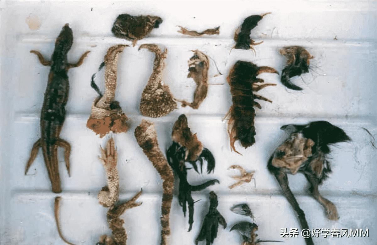 日军当着国军的面杀俘虏,日军侵华兽行