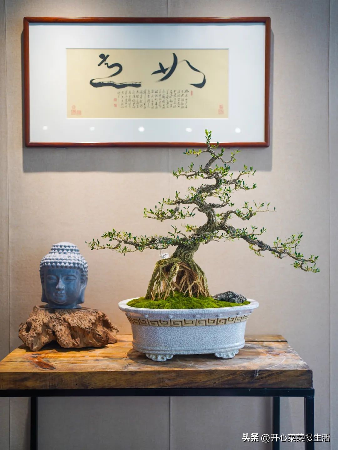 广东普宁有个万花园，由68座小花园组成，编织了农民美丽之梦