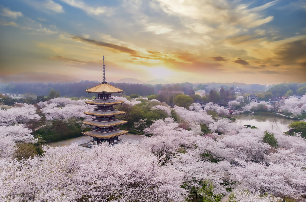 明白了闽南语,明白了越南歌曲