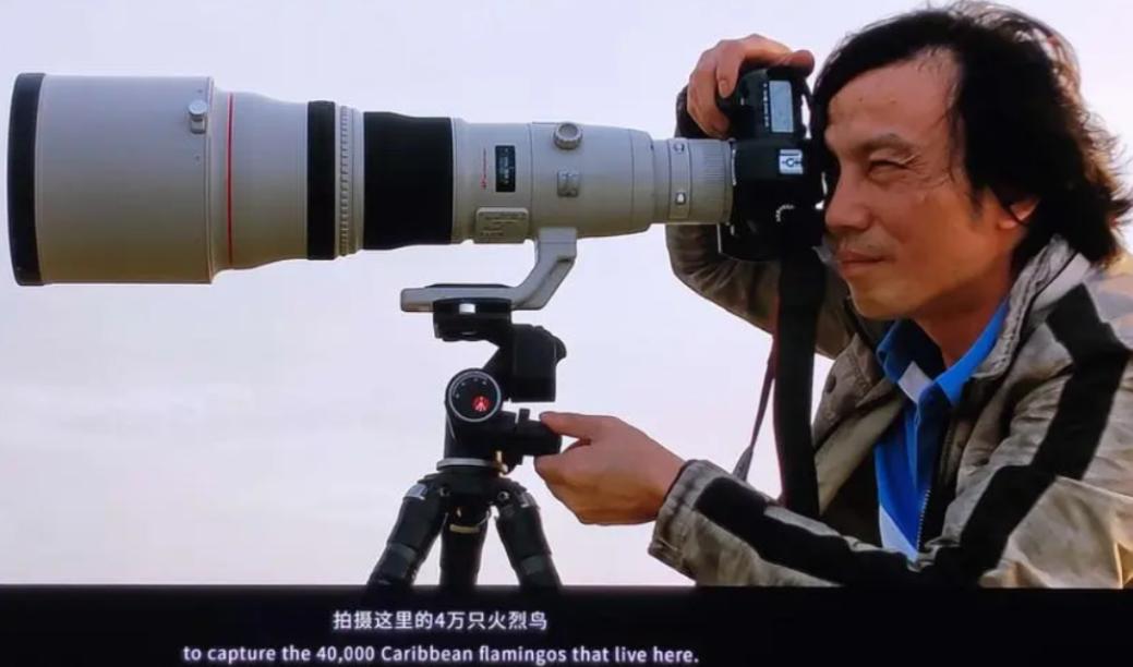 江一燕和好利来老板现在怎么样了,江一燕和好利来老板视频