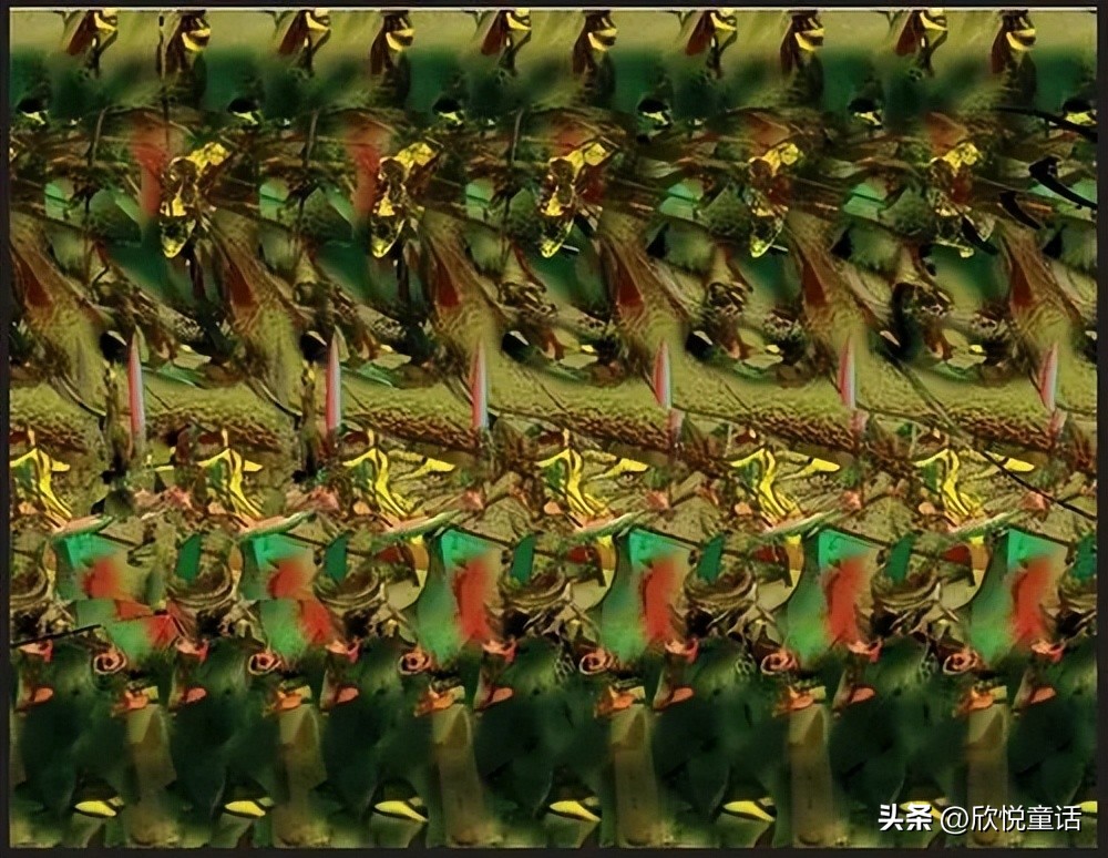 斑点狗正面照,斑点狗的真实资料