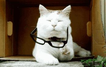 预防近视的滴眼液,抑制视力的滴眼液