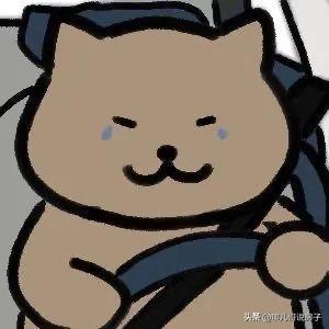 2019土拍价格 (从土拍价格可以看出什么)