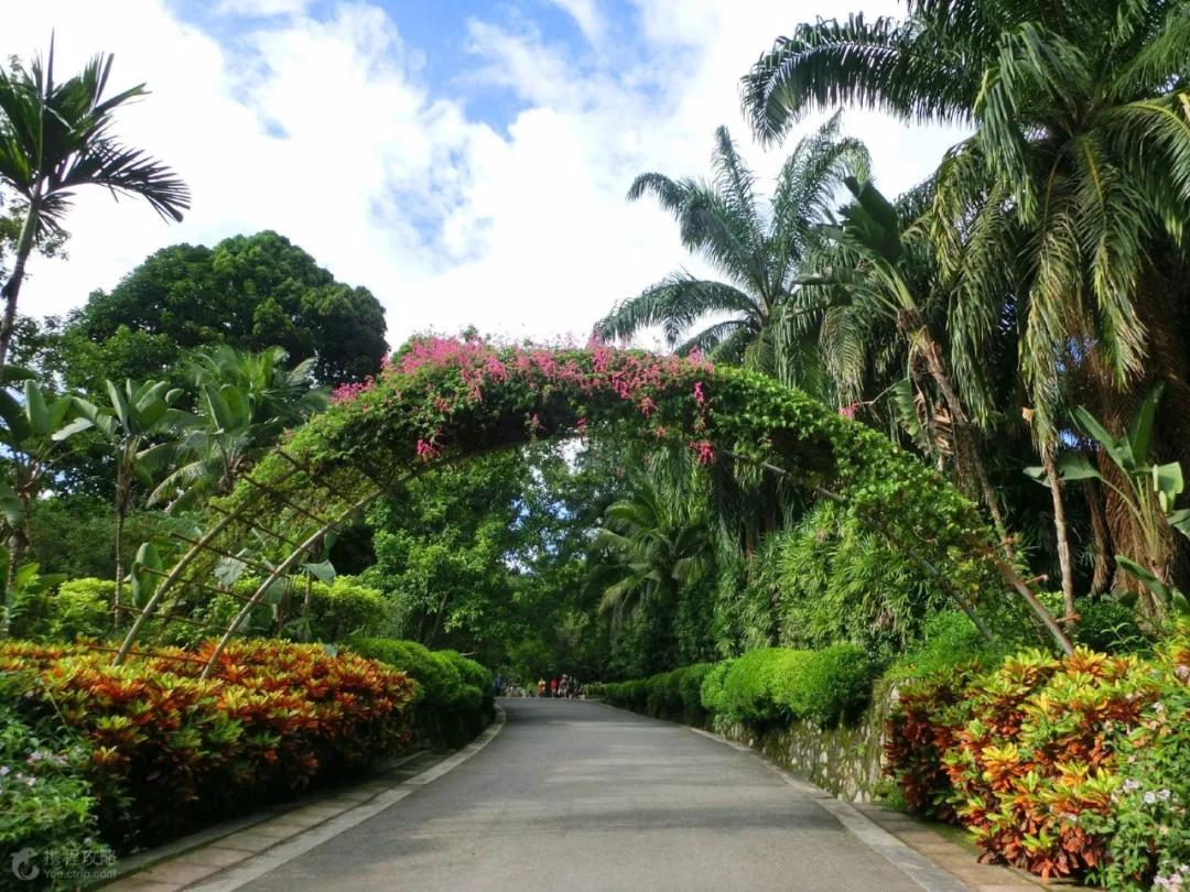 云南西双版纳旅游攻略app,云南西双版纳旅游攻略自由行12月