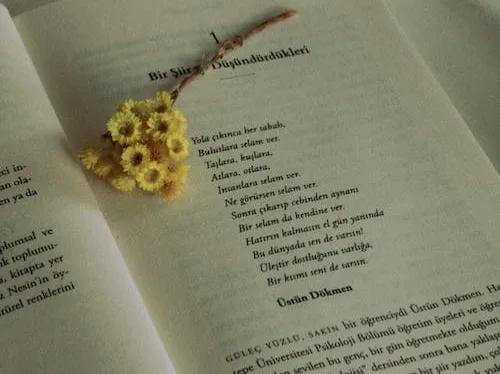 在这个内卷的时代如何脱颖而出,内卷时代这几条法则帮你找到自我