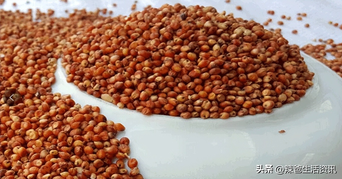 中国老牌四大名酒有哪四种,中国各大名酒经典款