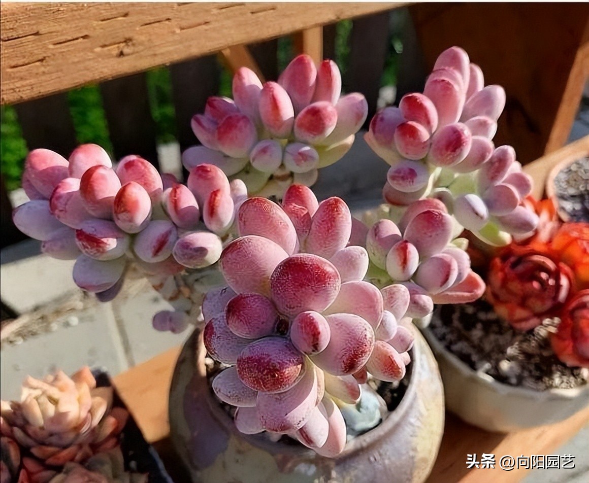 100元左右补光灯怎么选,便宜的补光灯有没有用