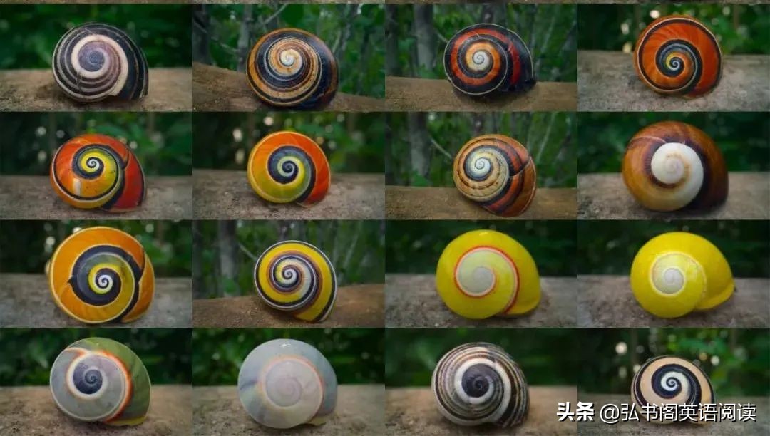 孩子暑期提高英语电影,适合孩子提高英语看的电影