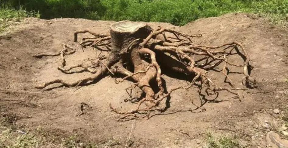 中美巅峰对战,中美较量的巅峰时刻