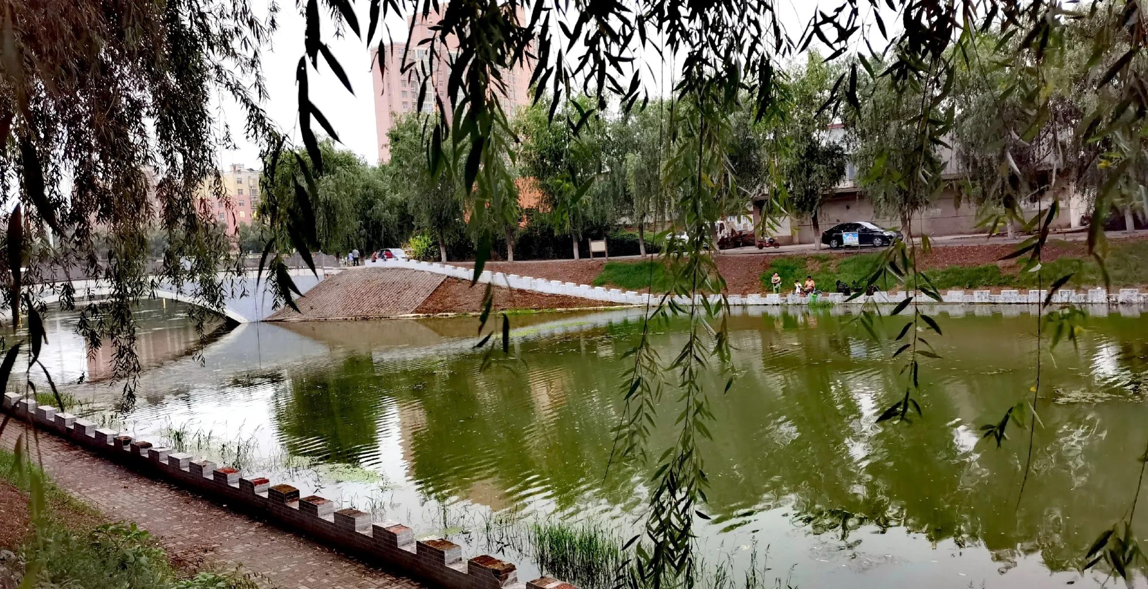 中国县城的现状,县城婆罗门