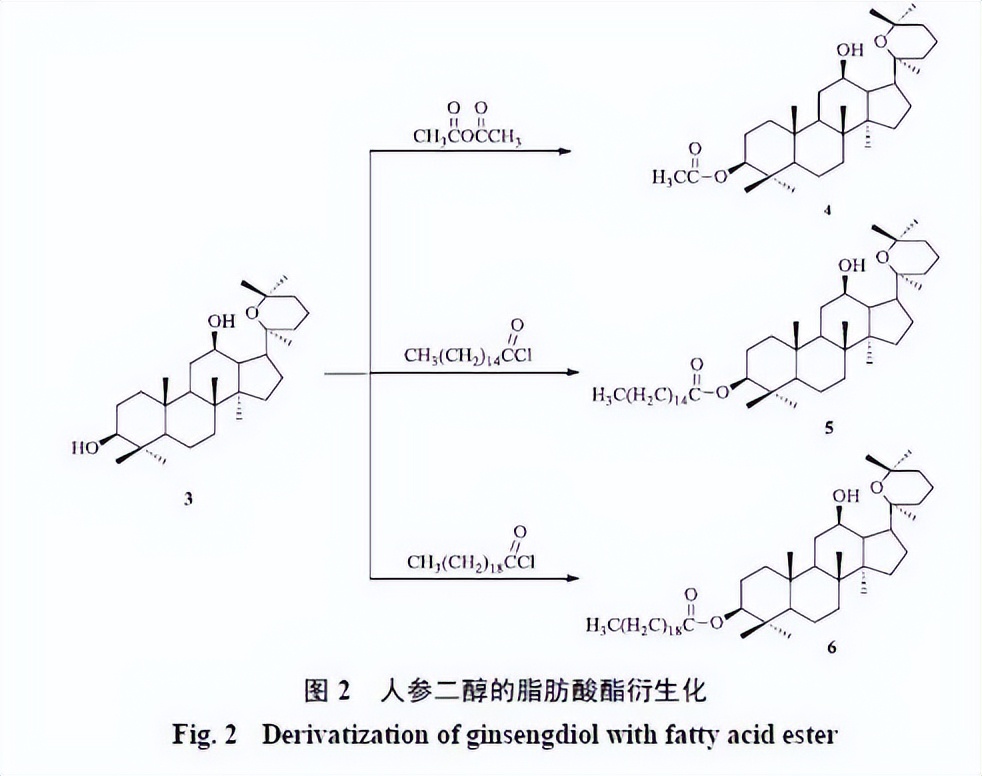 人参皂苷类化合物,人参皂苷结合物