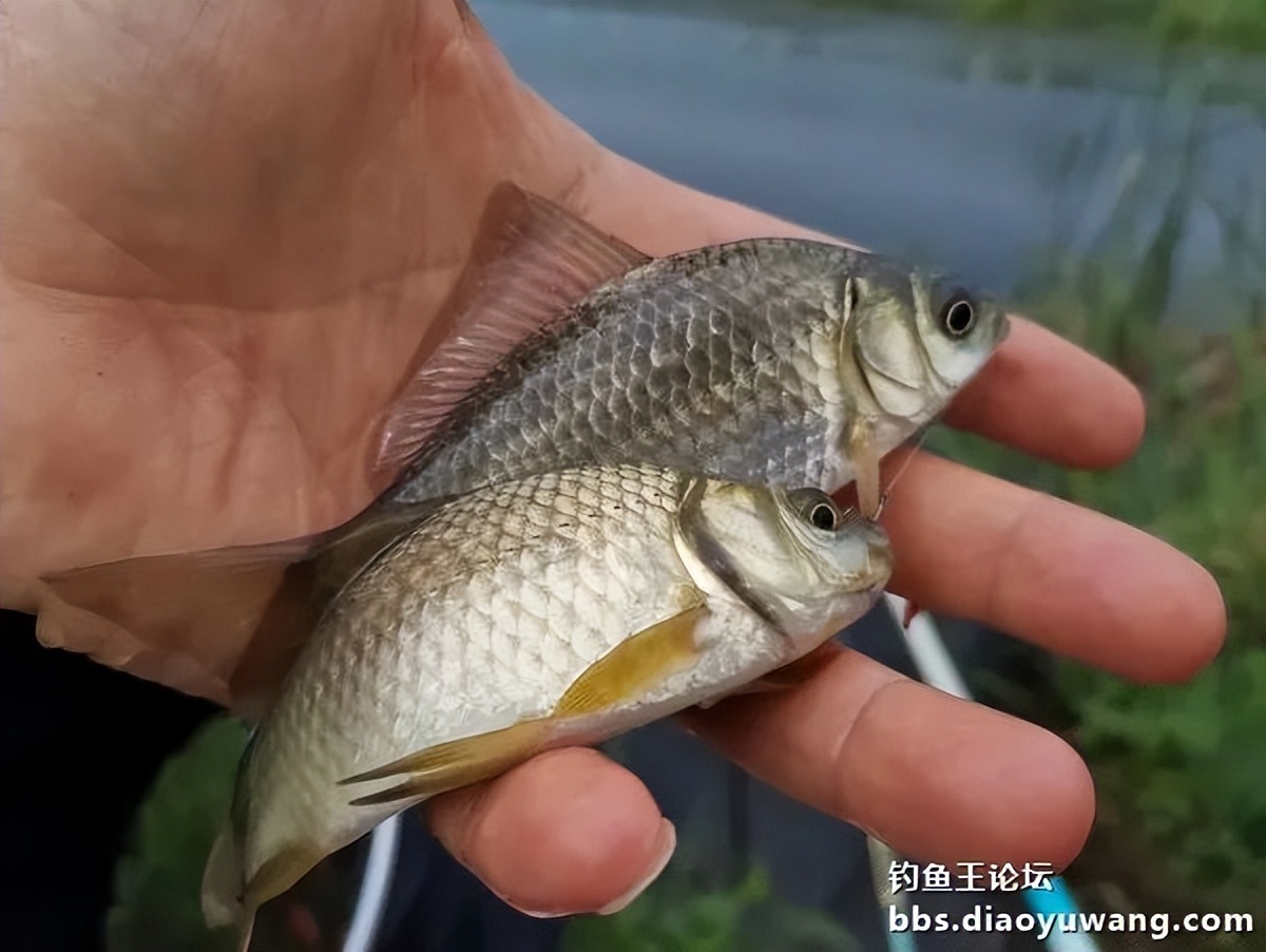 情理之中的上一句,情理之中的意料之外