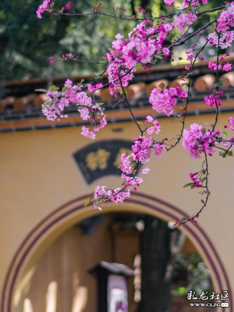 云南旅行攻略昆明,云南旅游全攻略昆明篇