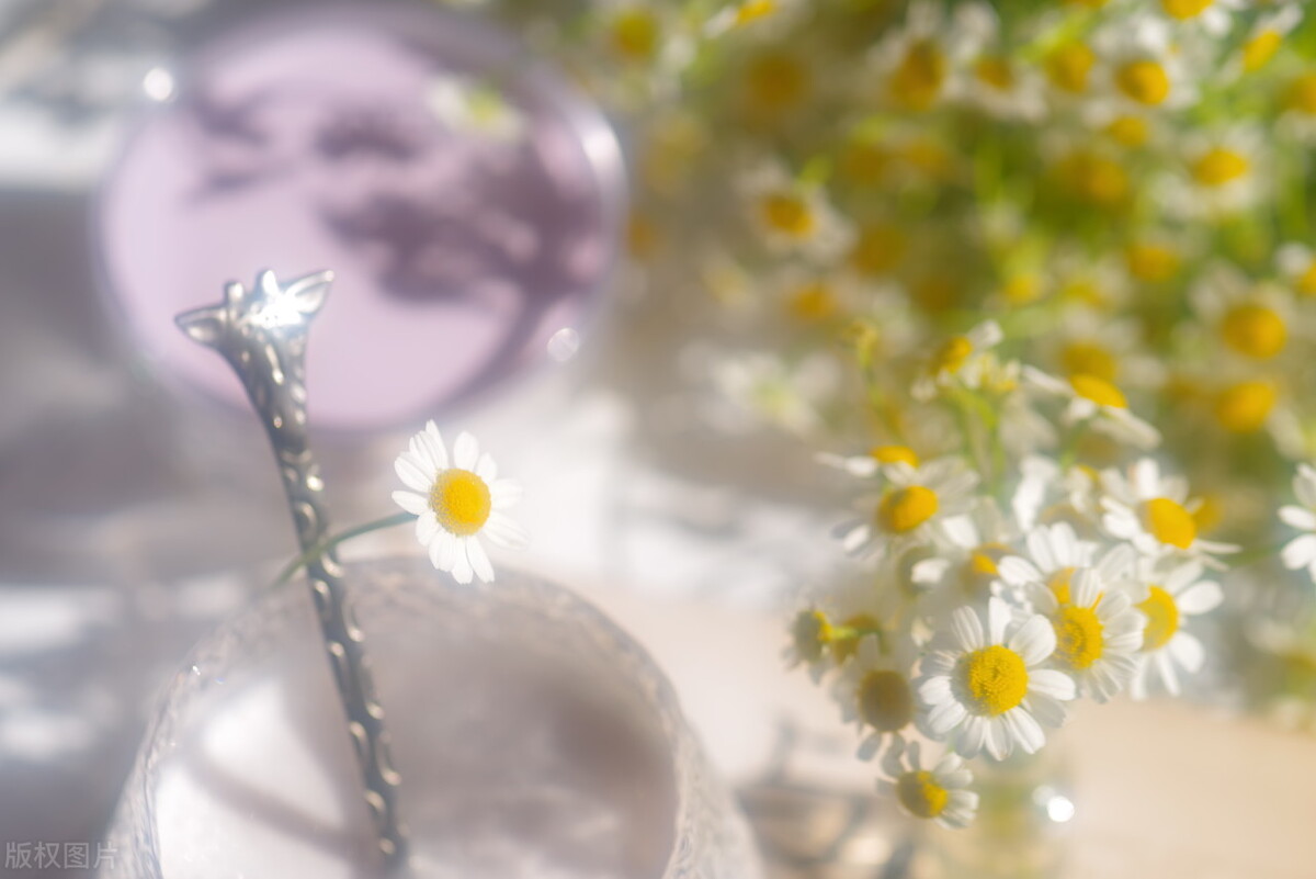 告别2022，未来可期，时光静好，浅笑安然，向着温暖那方走去